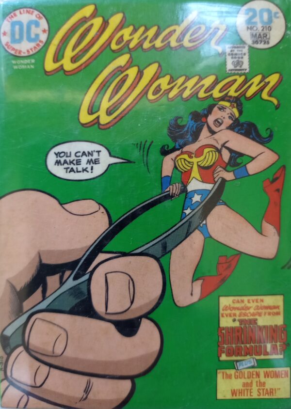 Humor Magnete Wonder Woman