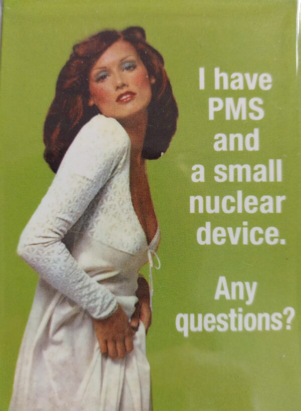 Humor Magnete I Have PMS